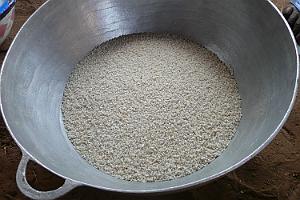Senegal complet 143 Brisures de riz.