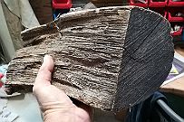 IMG_20191203_172336 Noyer sec récupéré d'une balade en Dordogne. Vu comme ça, faut le savoir !