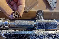 Stylos Fev 22 -15 Je me doutais du résultat mais c'est quand même une belle surprise. On retrouve les parois des logements des graines.