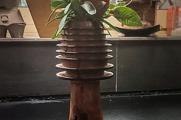 Vase éprouvette en poirier