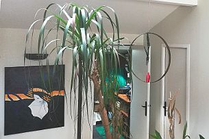 sculpture Pichon-16 Hop, à sa place !