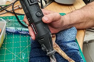 sculpture Pichon-3 J'en profite pour lui donner un aspect plus fragile, après tout un lifting répare les affres du temps !