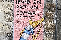 IMG_20191019_125102