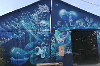 IMG_20191026_105139