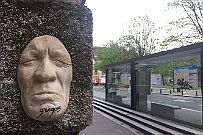 IMG_5800