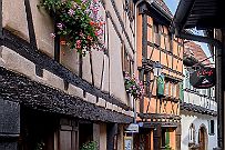 Alsace - 3619