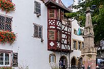 Alsace - 3697