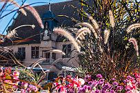 Alsace - 3488