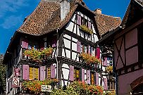 Alsace - 3557