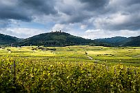 Alsace - 4057