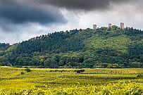Alsace - 4090
