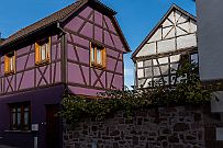 Alsace - 4965