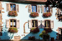 Alsace - 5044