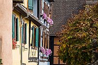 Alsace - 5211