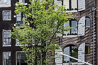 DSCF0735 Amsterdam 22