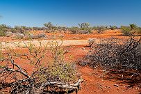 Australie 0403 2556 - Stromatolithes