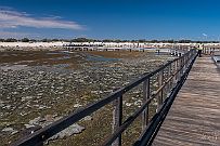 Australie 0403 2581 - Stromatolithes Une passerelle permet de les voir d'en haut sans les abimer.