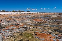 Australie 0403 2584 - Stromatolithes