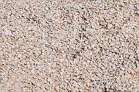 Australie 0403 2587 - Stromatolithes Futures plages de sable blanc quand le temps aura fait son travail.