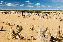 Australie 0409 3003 - Pinacles Il y a très longtemps une forêt d'arbres a été enseveli et pétrifié dans la vase qui l'a fossilisé. Un changement climatique aurait donné ce désert si...