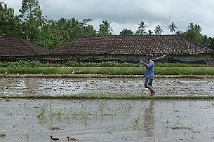 P1030084
