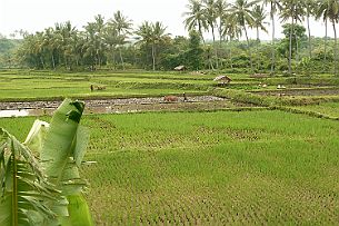 P1050805