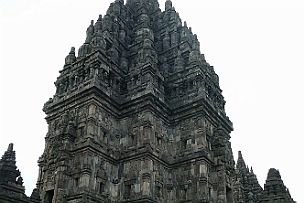 P1030631