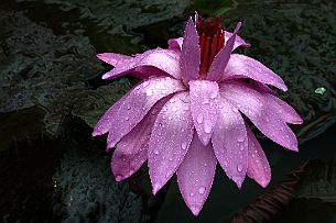 P1020855