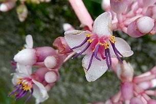 P1030137