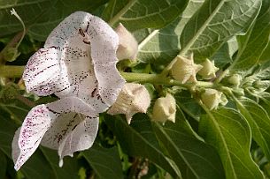 P1050430