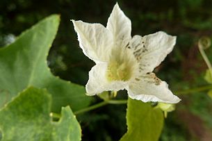 P1050510