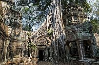 10 - DSCF6944-Modifier-Modifier null