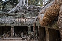 10 - DSCF6990-Modifier null