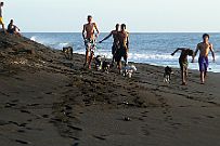 P1070348 On change pour à peine 30 km plus bas, sur la plage de sable de lave noire Pas trop tranquilles à l'approche des PitBul ...