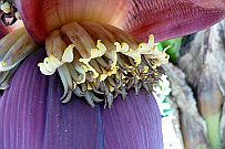 P1080834