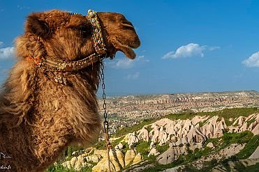 PERRIERE-TURQUIE_18694-Dx null