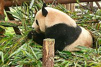 P1150431
