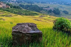 Chine_Moxalain_PERRIERE_14389 null