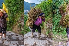 Chine_Moxalain_PERRIERE_14402 null