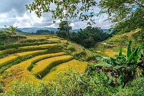 Chine_Moxalain_PERRIERE_14740 null