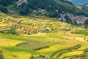 Chine_Moxalain_PERRIERE_20736 null