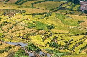 Chine_Moxalain_PERRIERE_20742 null