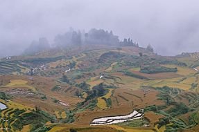 Chine_Moxalain_PERRIERE_20811 null