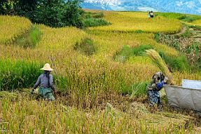 Chine_Moxalain_PERRIERE_21171 null