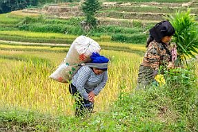 Chine_Moxalain_PERRIERE_21220 null