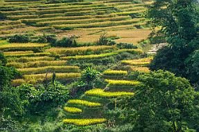 Chine_Moxalain_PERRIERE_21234 null