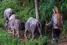 Chine_Moxalain_PERRIERE_21270 null