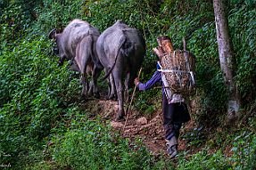 Chine_Moxalain_PERRIERE_21272 null