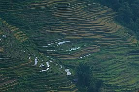 Chine_Moxalain_PERRIERE_21293 null