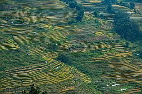 Chine_Moxalain_PERRIERE_21296 null